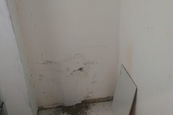 dsc 3490 1